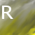 Snakerob