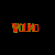 Wound